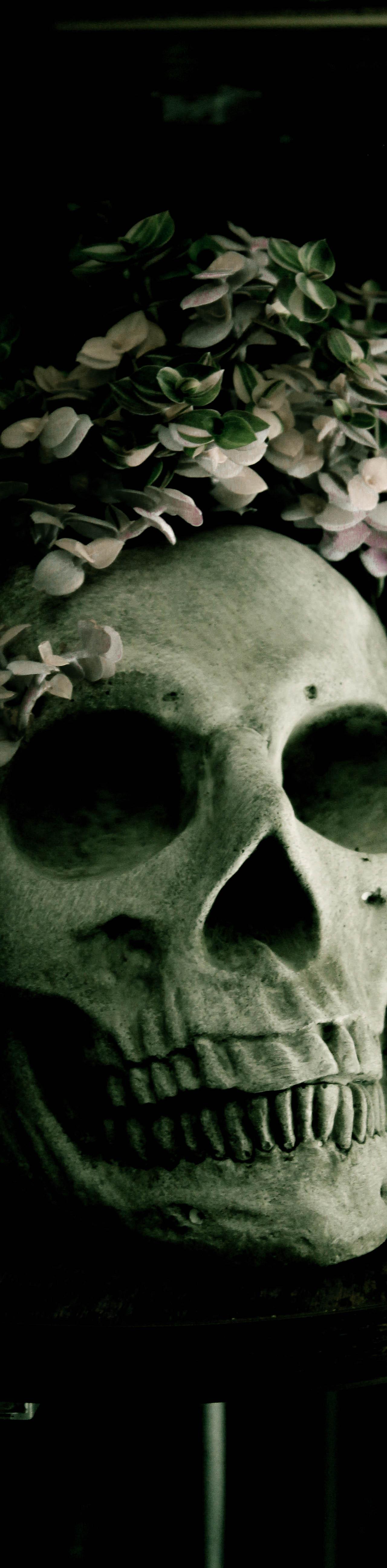 A close-up, dark and moody shot of a skull with small green and white flowers cascading over its top, resting on a dark surface with two clear crystals next to 