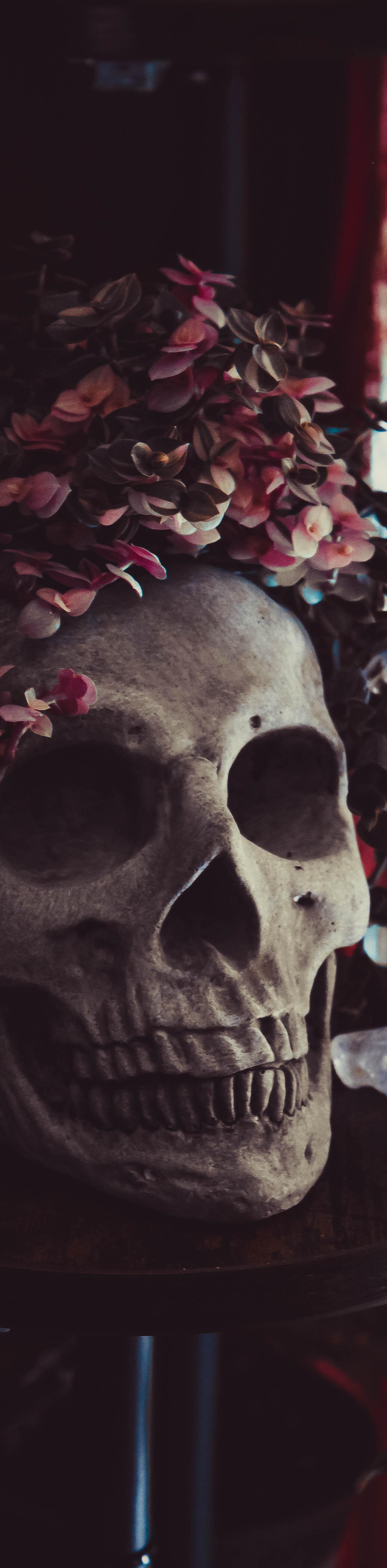 A Halloween skull wears a floral crown and sits on a ledge with small crystals; soft red curtains are blurred in the background.